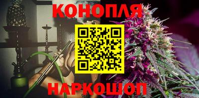 ECSTASY Новозыбков