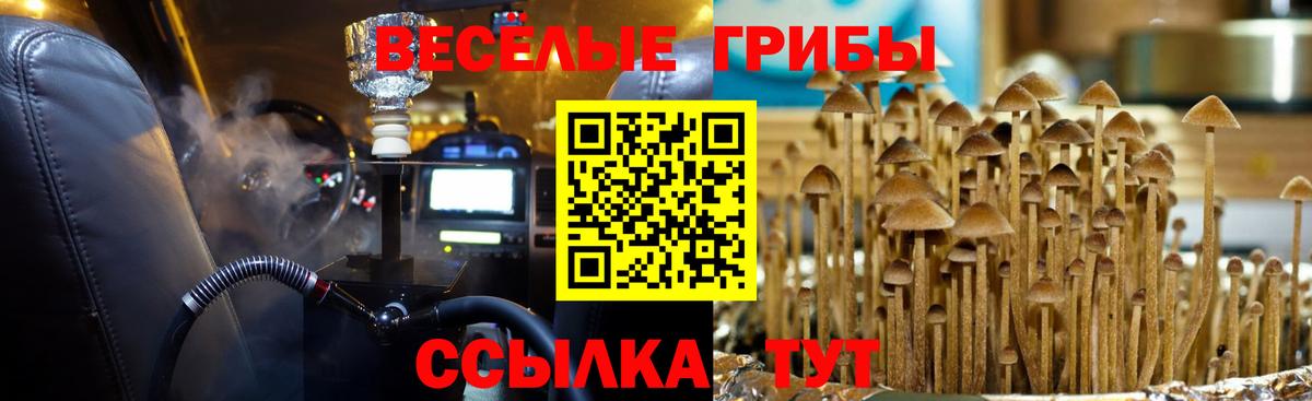 Галлюциногенные грибы ЛСД Саянск